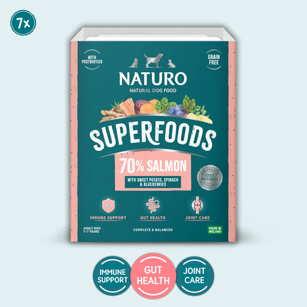 Dog Food Trays