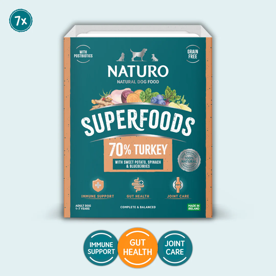 Grain Free Dog Food
